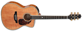 Takamine LTD 2022 60th Anniversary Model  6-String Acoustic Electric Guitar 2022